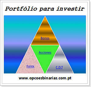 criar portfólio para investir